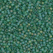 Miyuki delica beads 10/0 - Matted light green ab DBM-858